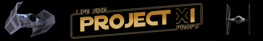 www.project-x1.de